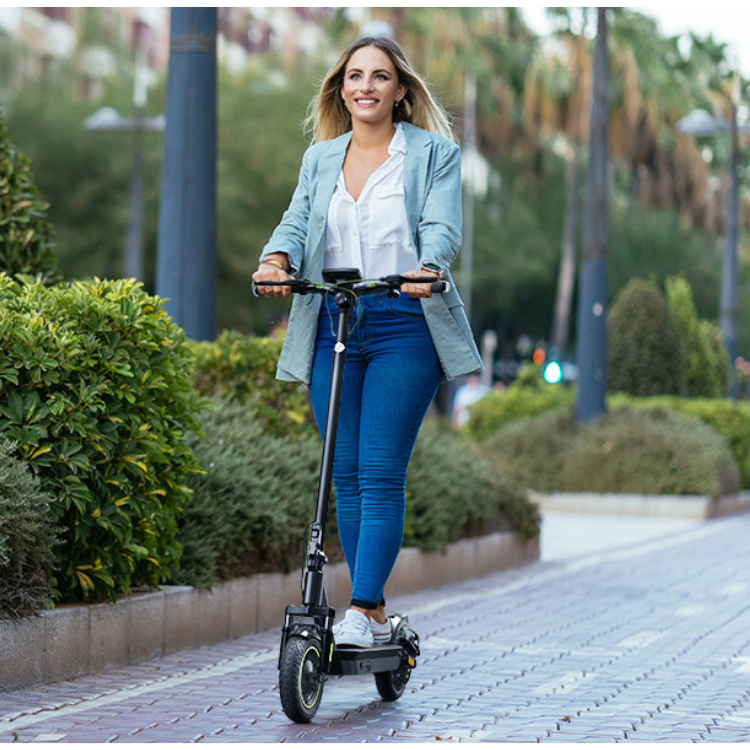 Isinwheel Electric Scooter S10 Pro