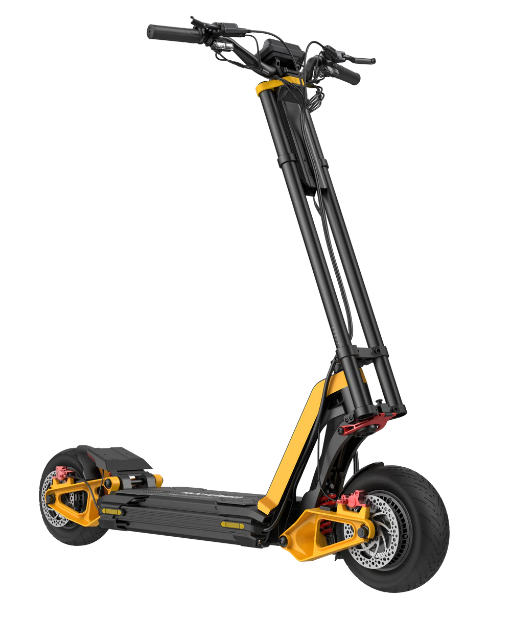 InMotion RS