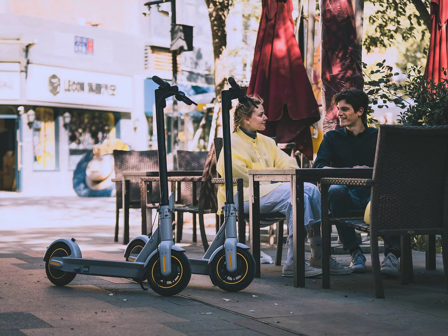 Segway Ninebot G30LP electric scooters