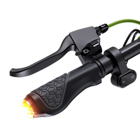 Isinwheel Electric Scooter S10 Max 45Km/hr Speed / 60Km Range / 23.3Kg / 1000W