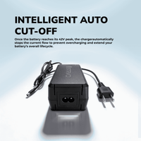Strvo 42V2A Charger With 6 in 1 Plugs Output heads DC Fast Charger, compatible with various escooter and ebike models, built for 36V batteries