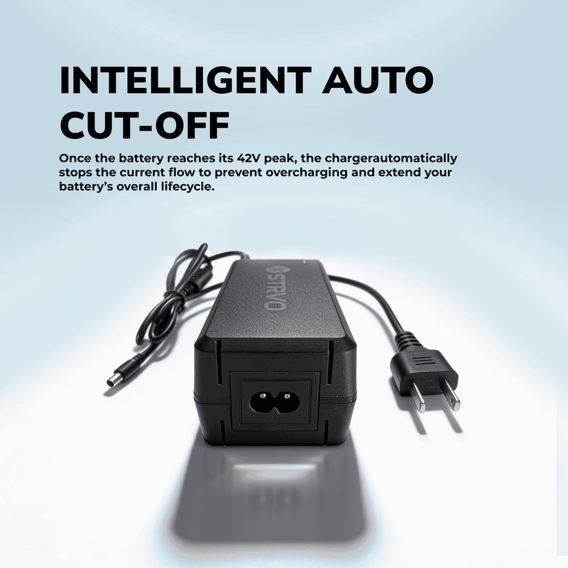 Strvo 42V2A Charger With 6 in 1 Plugs Output heads DC Fast Charger, compatible with various escooter and ebike models, built for 36V batteries