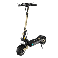 Circooter Cruiser Pro