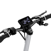 Circooter Raptor Pro