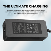 Ryvo-X 54.6V 2A 5.5 x 2.1mm DC Charger for 48V Lithium Ion Battery, UL Certified