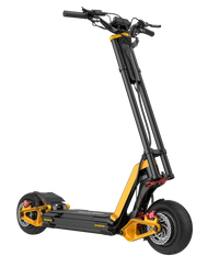 InMotion RS