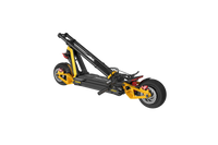 InMotion RS