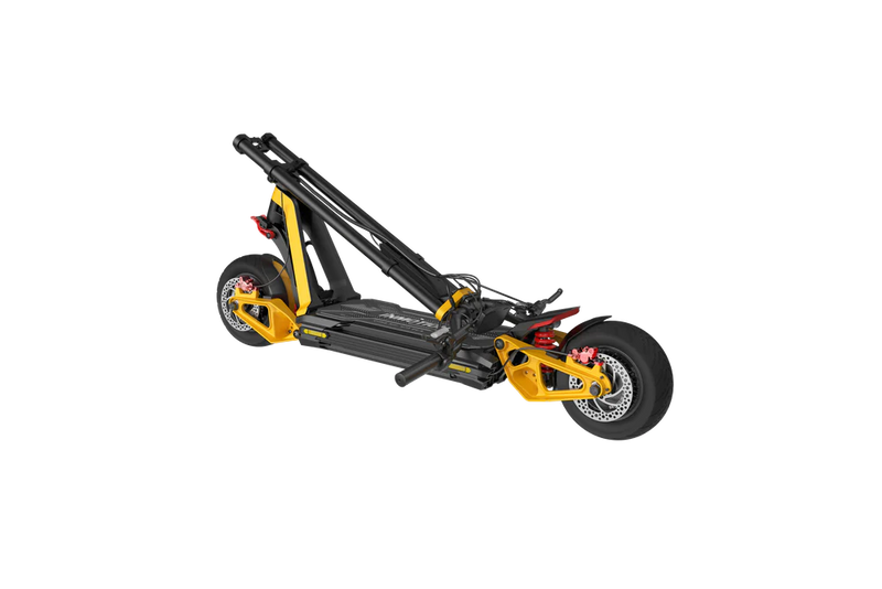 InMotion RS