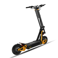 InMotion RS