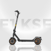 Kingsong E1KSE Electric Scooter 25Km/hr Speed / 25Km Range / 16kg / 350W