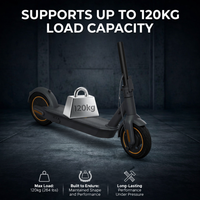 60/70-6.5 Original CST Tubeless Tire (With Gel) Front/Rear Replacement for Ninebot by Segway MAX G30 G30LP (Front Only Max G2)