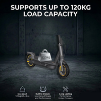 60/65-6.9 Tubeless Tire | Gel-Filled | Vacuum Seal | Rear Wheel Replacement for NINEBOT Segway MAX G2 | Electric Scooter Tire