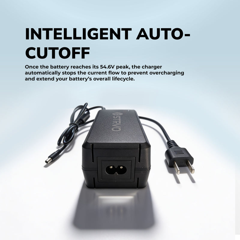 Strvo 54.6V2A Multi Charger With 6 in 1 Plugs Output heads DC Fast Charger for 48V batteries, compatible with ebikes and escooters and emobility vehicles