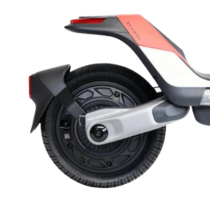 Segway Ninebot KickScooter P100SE by Segway