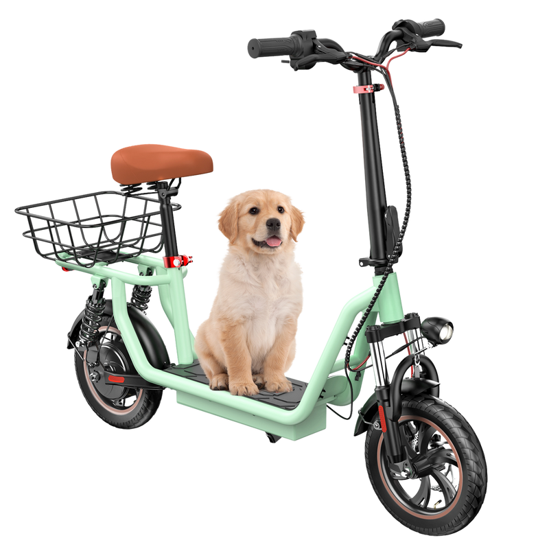 iScooter i12 Electric Scooter 25km/hr Speed / 33km / 25kg / 500W