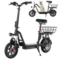 iScooter i12 Electric Scooter 25km/hr Speed / 33km / 25kg / 500W