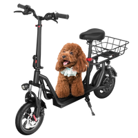 iScooter i12 Electric Scooter 25km/hr Speed / 33km / 25kg / 500W