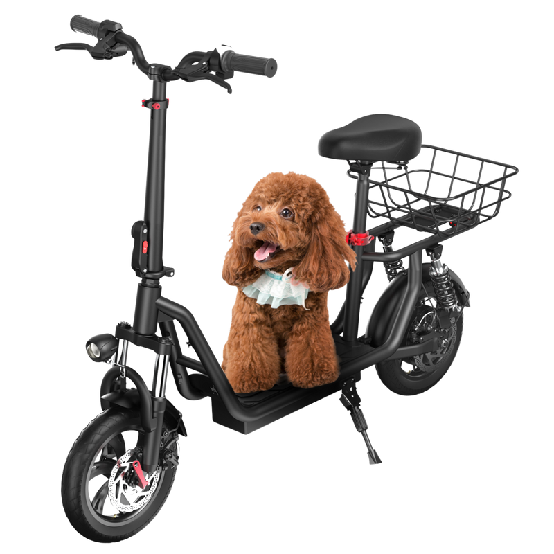iScooter i12 Electric Scooter 25km/hr Speed / 33km / 25kg / 500W